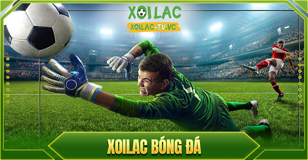 Xem bóng đá trực tiếp hôm nay miễn phí Xoilac TV
